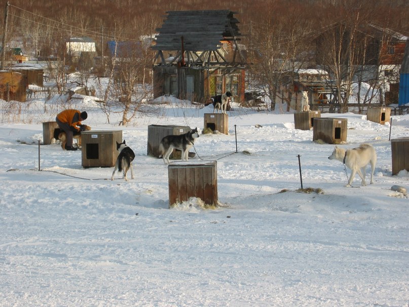Анастасия Трофимова | Петропавловск-Камчатский