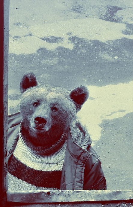 Михаил Михайлов | Южно-Сахалинск