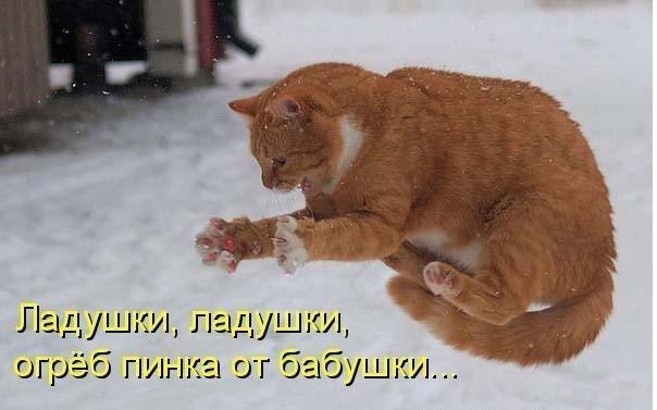 Валерия Лисеенко | Киев