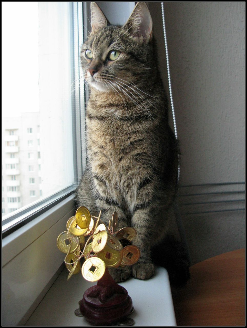 Юлия Прохорова | Санкт-Петербург