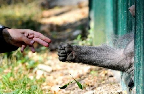 №93, Денис Сагадеев, 05.03.1977, Санкт-Петербург №93, Денис Сагадеев, 05.03.1977, Санкт-Петербург