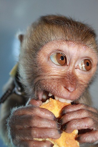 Нина Романова | Санкт-Петербург