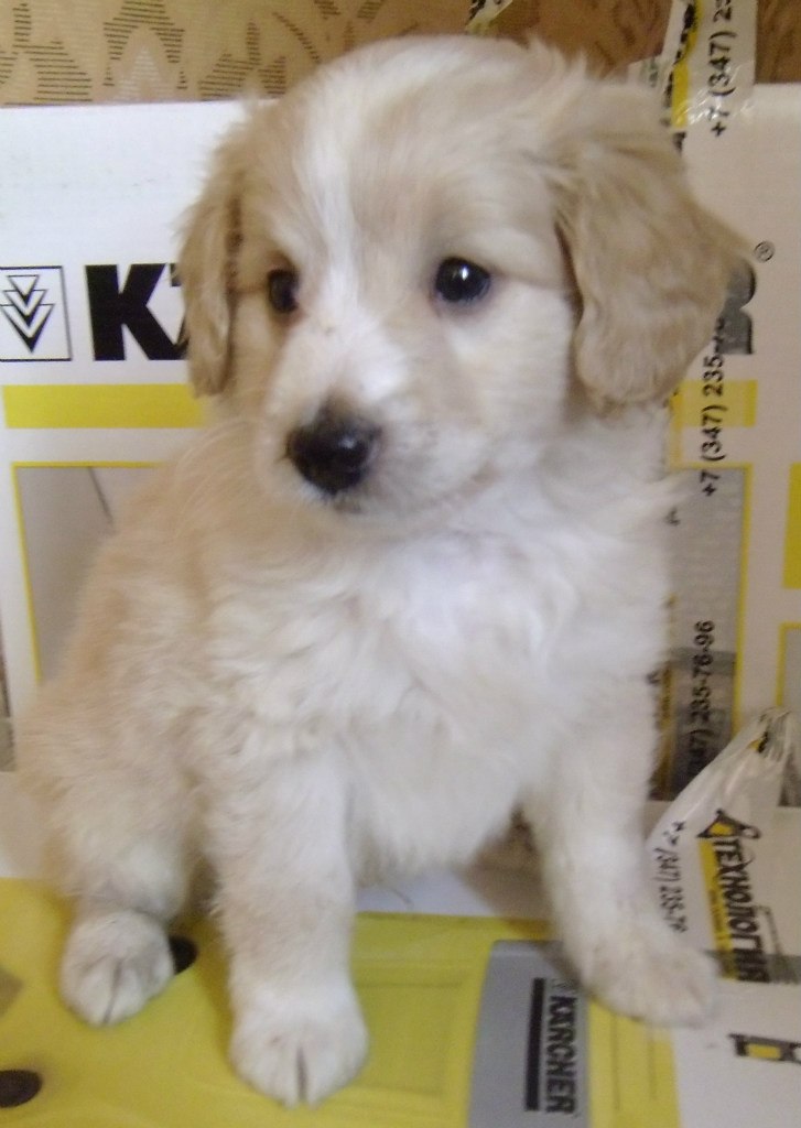 Елена Тагиль | Уфа