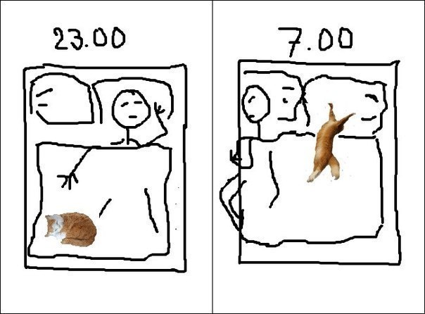 Руслан Белов фотография #1
