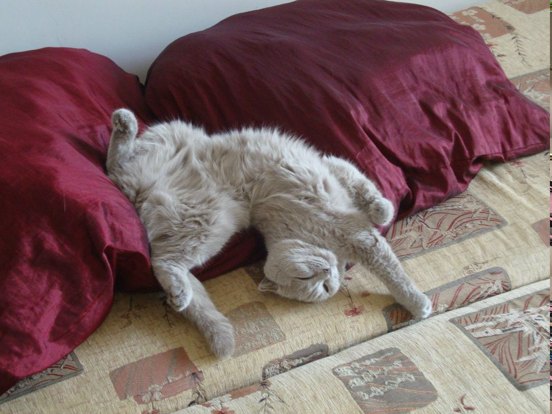 Александр Рудые Екатерина | 