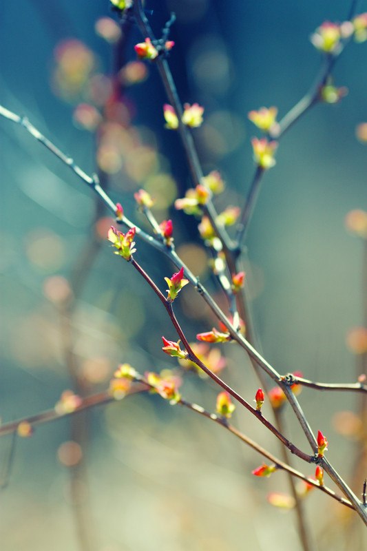 Маша Горькая | Тюмень