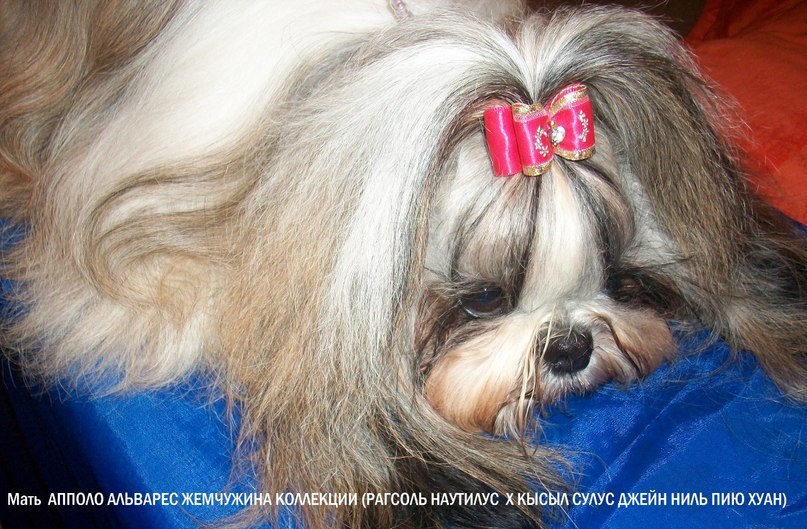 Надежда Литвинова | Якутск