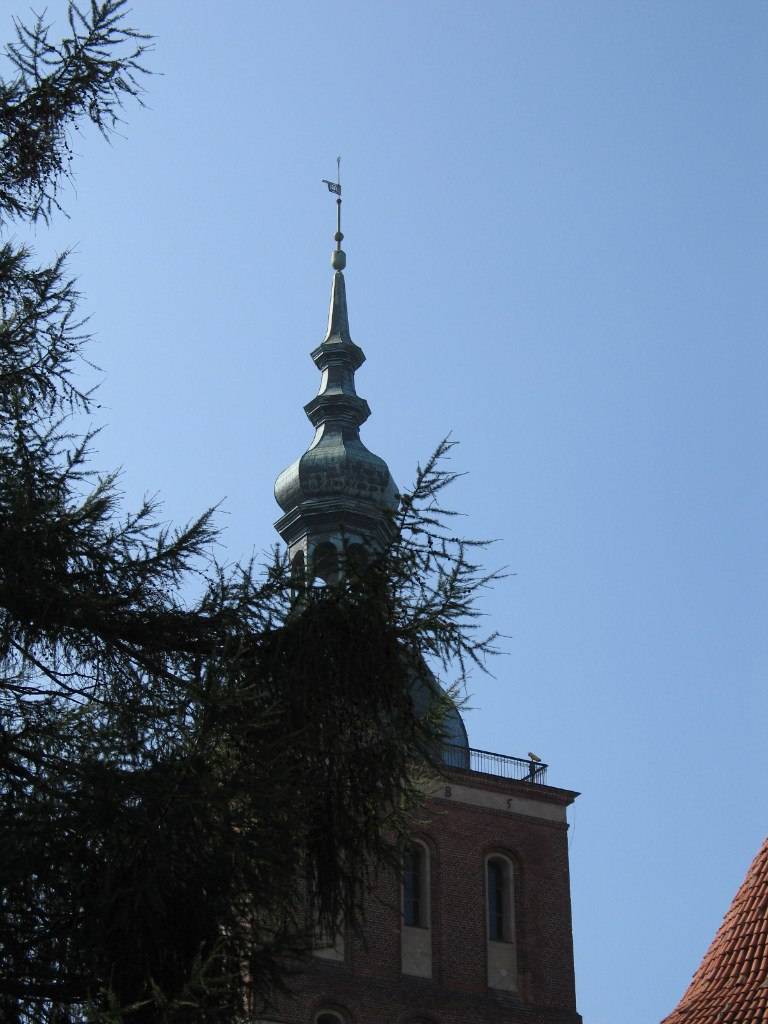 Юлия Каргина-Голубцова | Москва