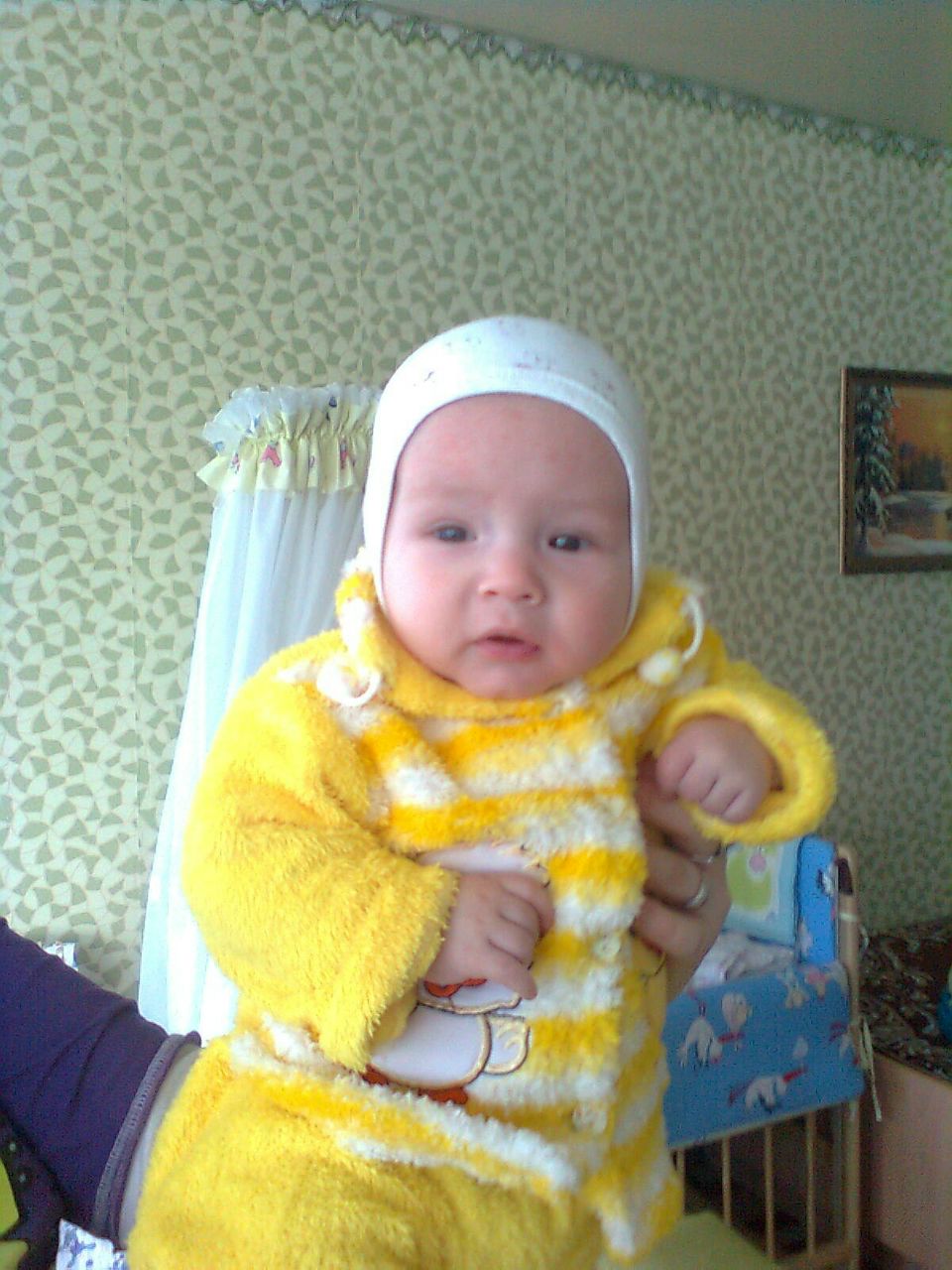 Максим Костерин | Кострома