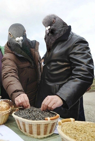 Антон Терехов | 