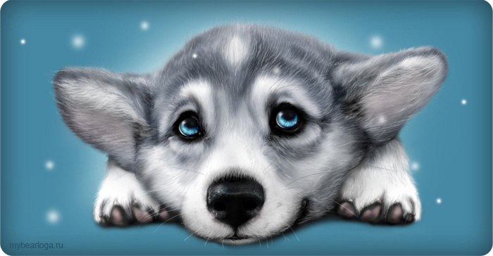 Оксана Стажевская | Краснодар