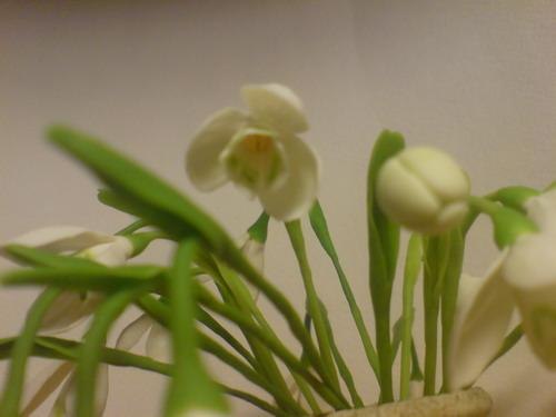 Римма Баблоян Fate | Ростов-на-Дону