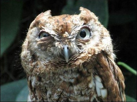 Илья Круглов | 