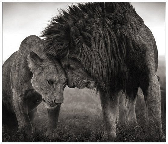 Кира Пчелинцева pirozho4ek:) | Washington, D.C.