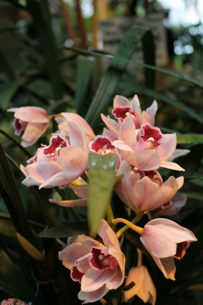 Карина Калиян | Астрахань