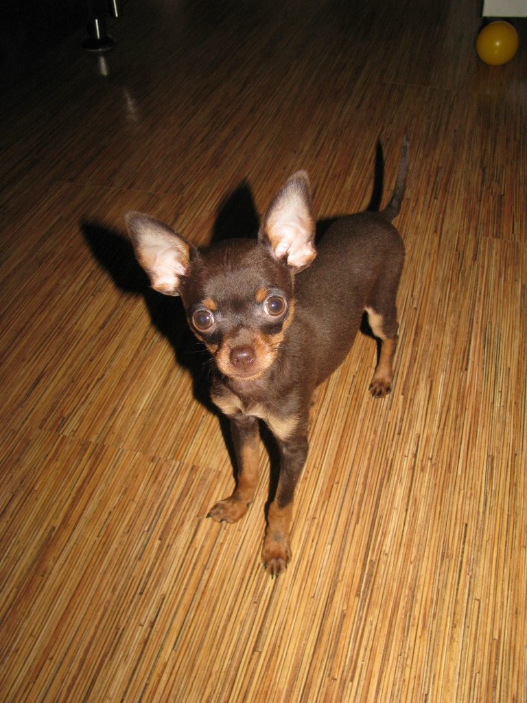 Екатерина Кандыба | Калининград