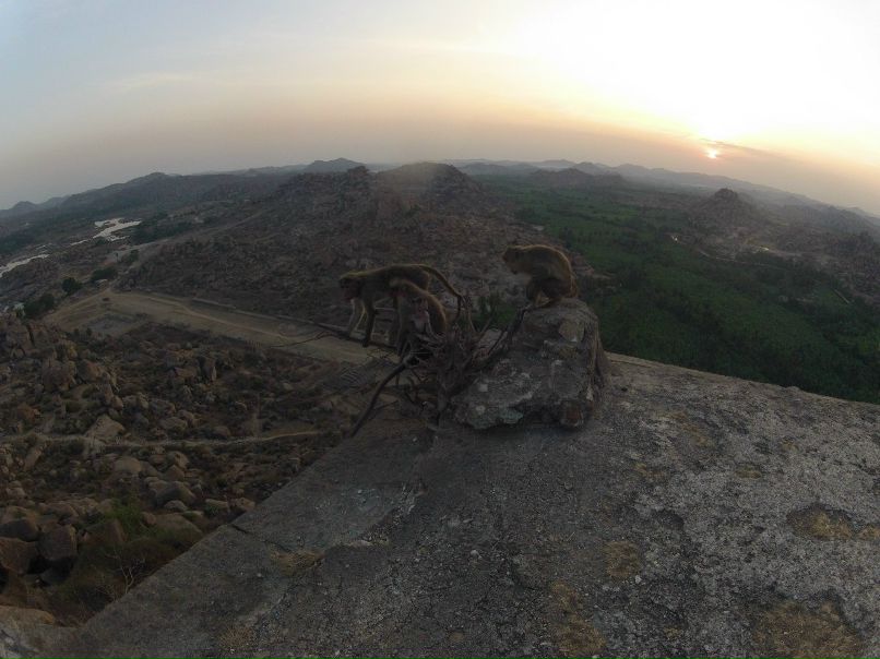 Артем Кузнецов | 