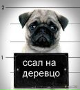 №28 Миха Неважнов : профиль, фото, статус - ВКонтакте