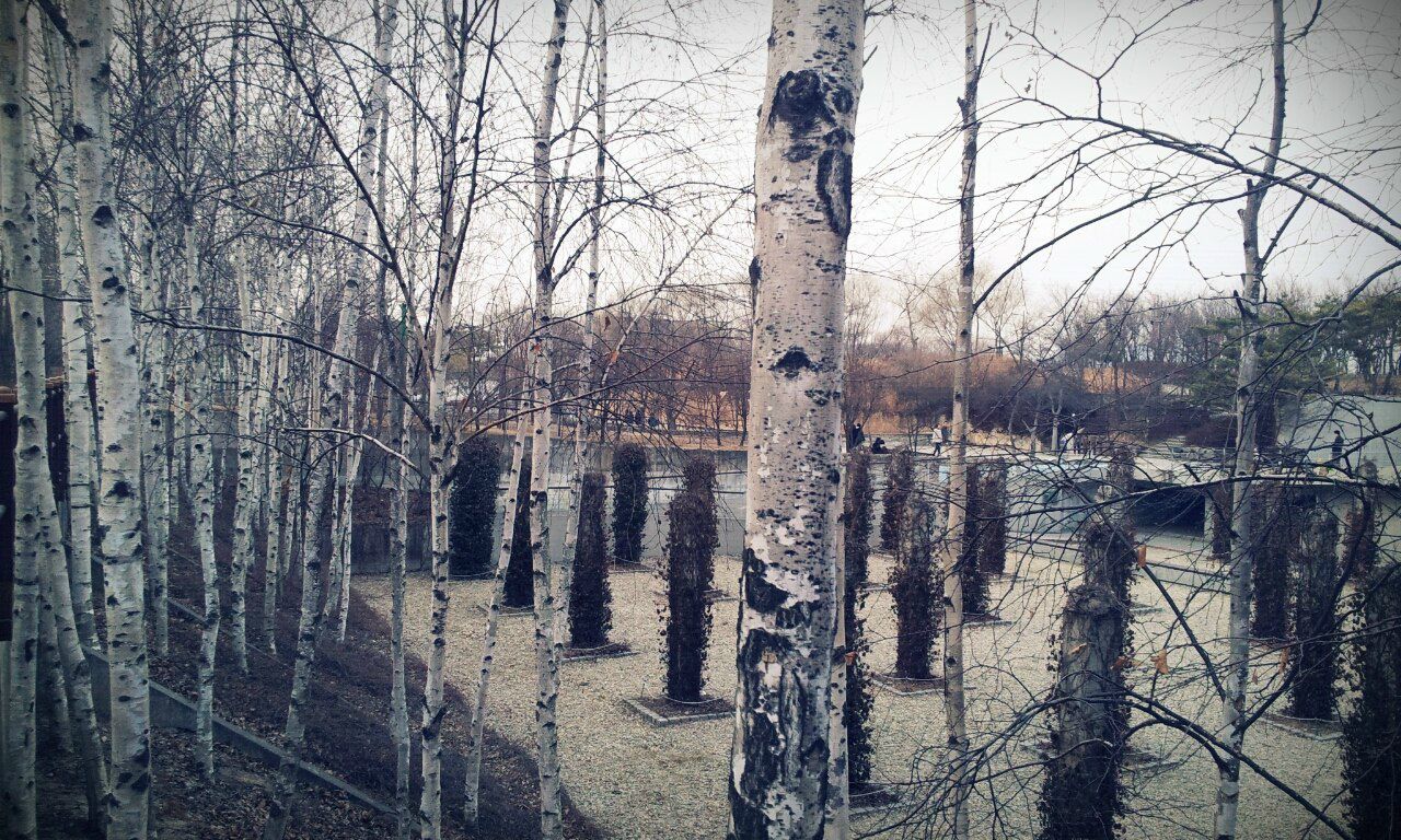 Marina Potapova | Новосибирск