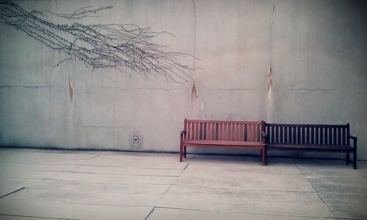 Marina Potapova | Новосибирск