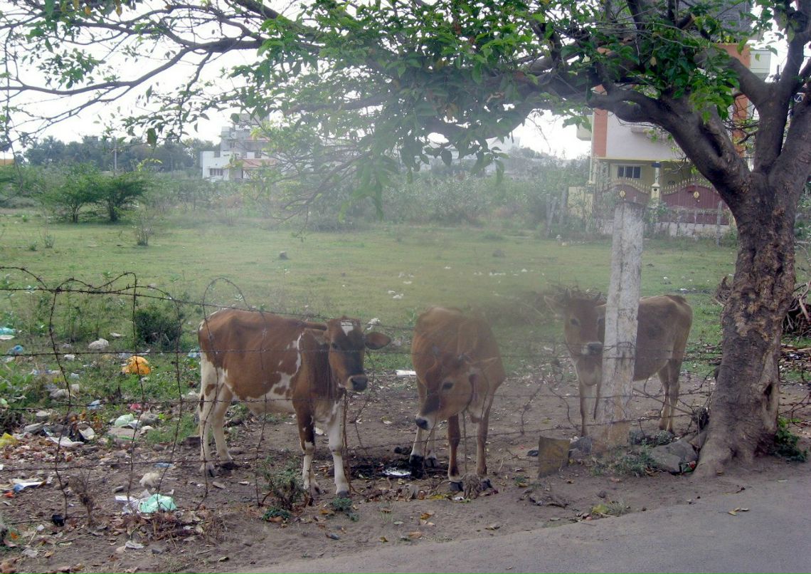 Елена Смирнова | Санкт-Петербург
