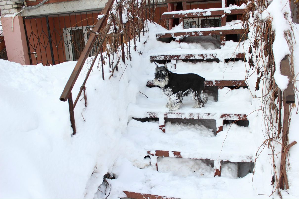 Ксения Лобанова | Иркутск