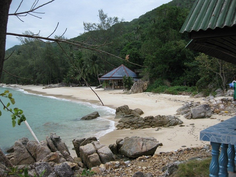 Феофана Ромашкина | Санкт-Петербург