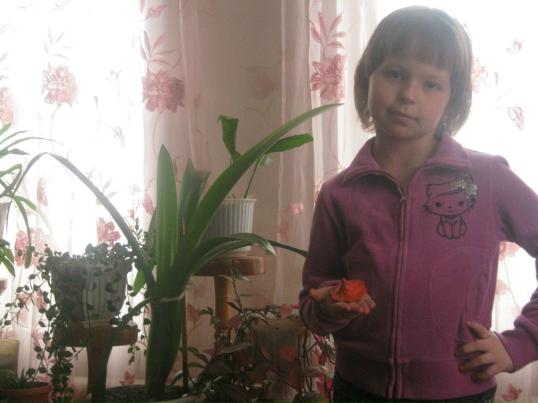 Елена Зайкова | Новосибирск