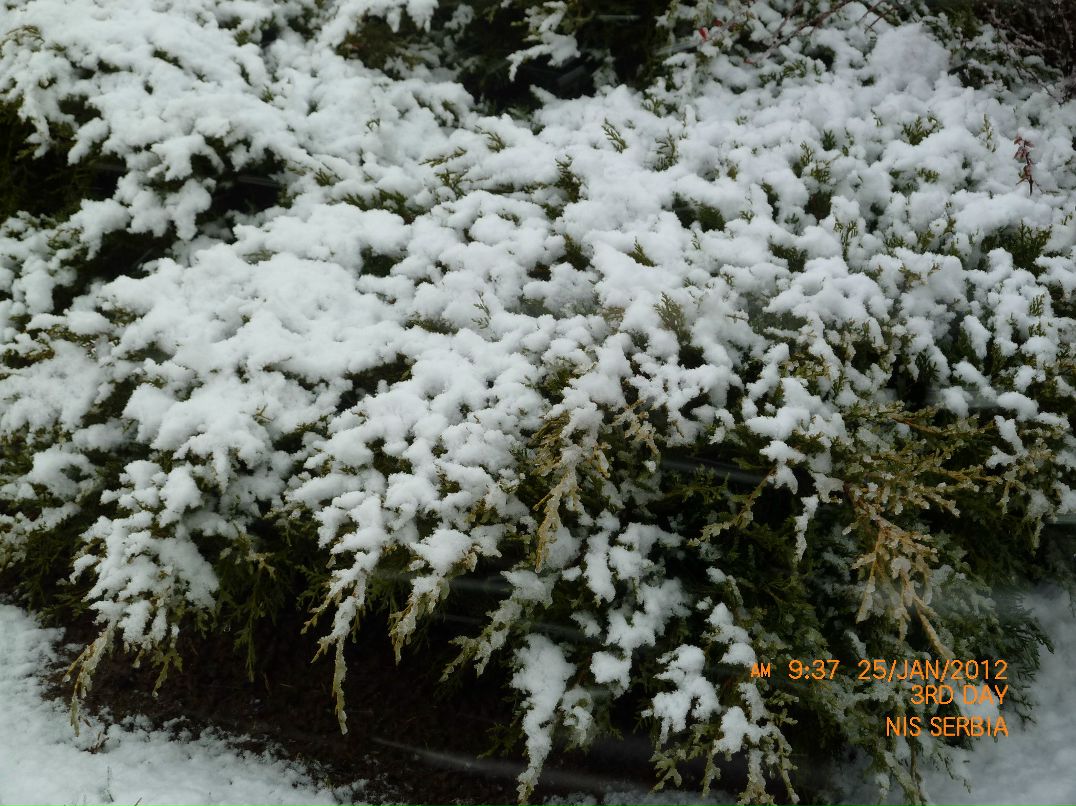 Марина Сойфер | Modi'in-Maccabim-Re'ut