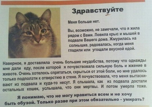 Анна Липатникова | Москва