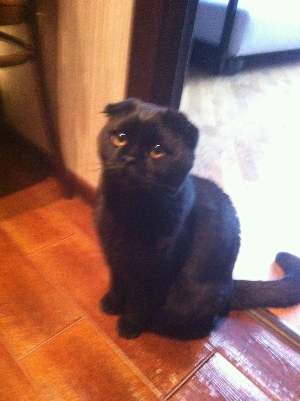 Валерий Васён | Москва