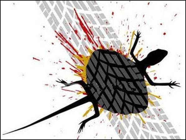 Евгений Владимирович elk-spb | Санкт-Петербург