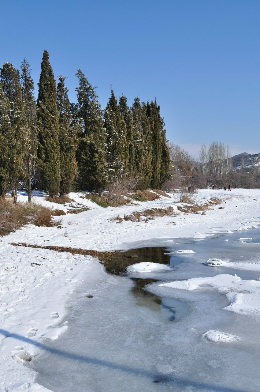 Наталья Мирошниченко | Псков