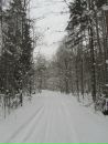 Фотография Александр Елисеев
