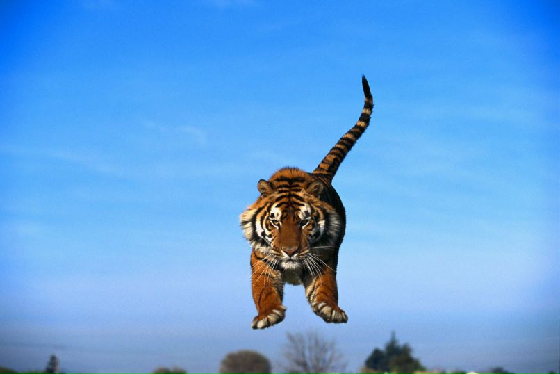 Виталик Егоров | Тольятти