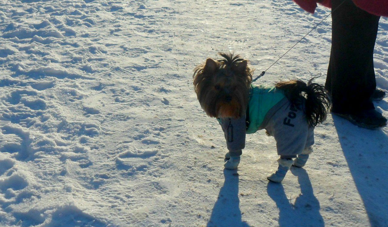 Жанна Березкина | Санкт-Петербург