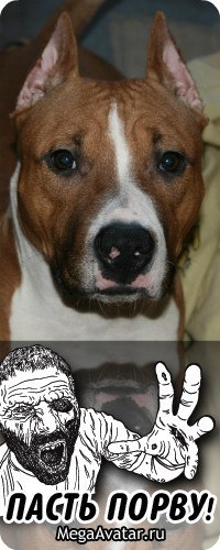 Александр Анощенков | Москва