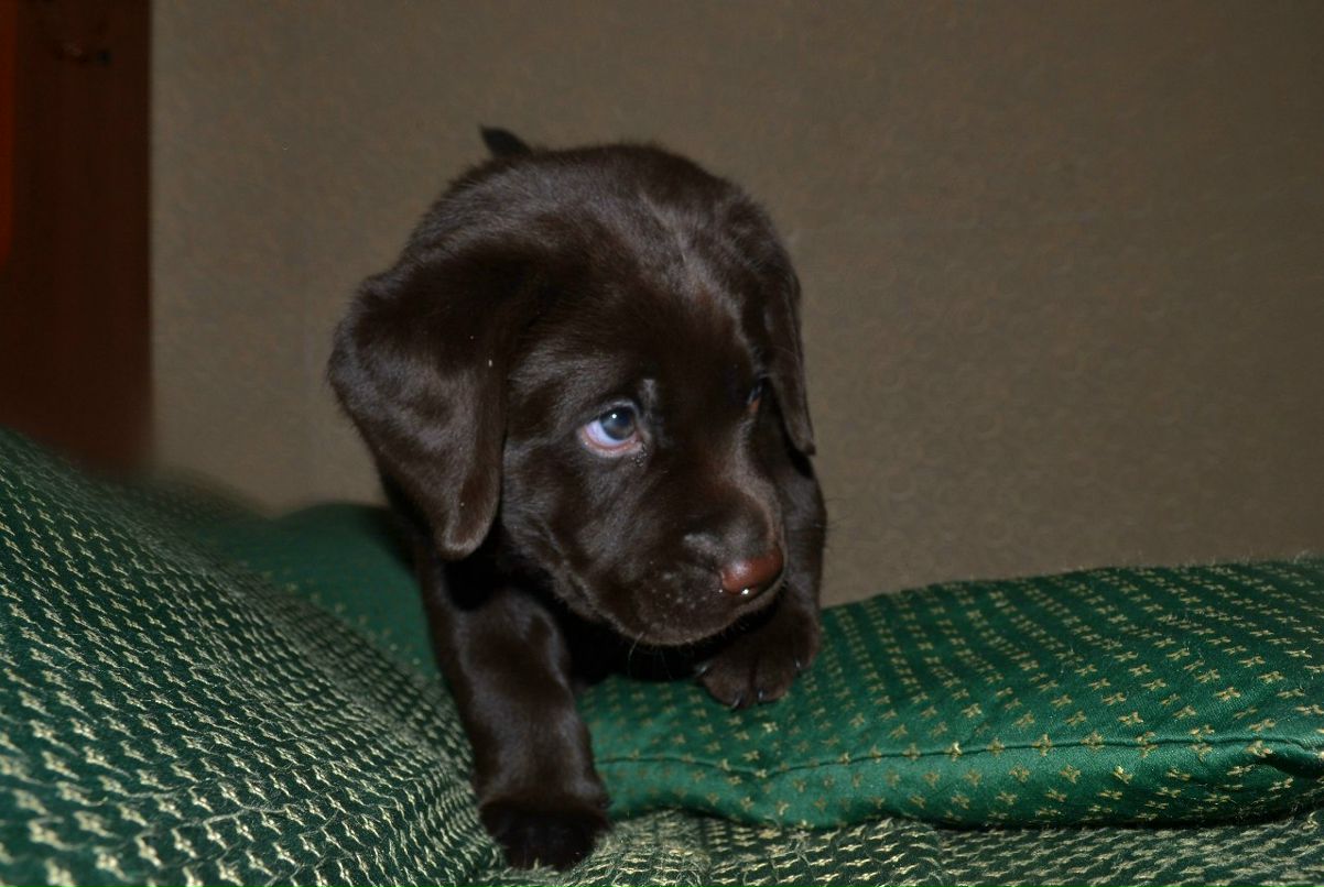 Екатерина Пируева | 