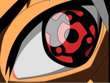 Виталий Шевченко | Санкт-Петербург