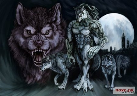 №20, Александр Макаров, Ростов-на-Дону №20, Александр Макаров, Ростов-на-Дону