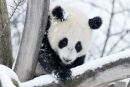 Фотография Несправедливый Ненавистник