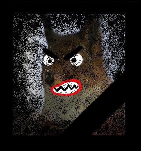 №57, Иван Орлов, 40 лет, Мурманск №57, Иван Орлов, 40 лет, Мурманск