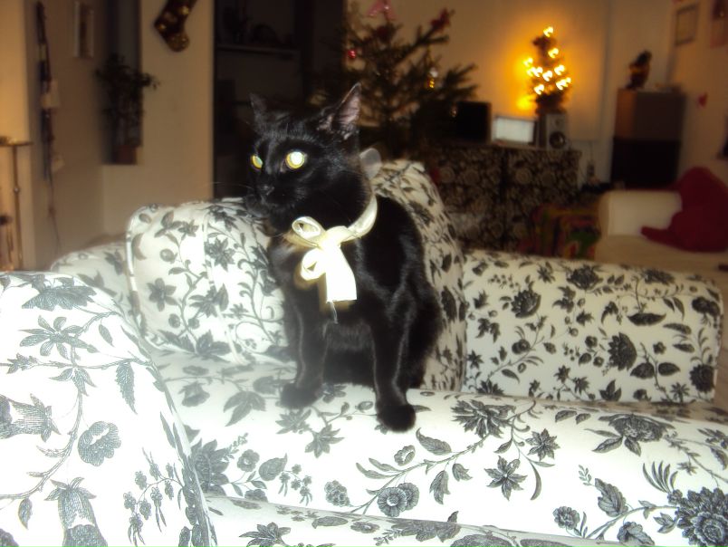 №124, Анна Жукова-Григорчук, London №124, Анна Жукова-Григорчук, London