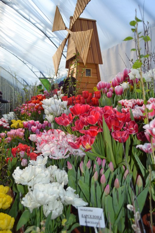 Татьяна Владыкина | Ижевск