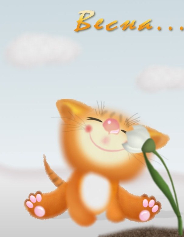 Natasha Reeves | Christchurch