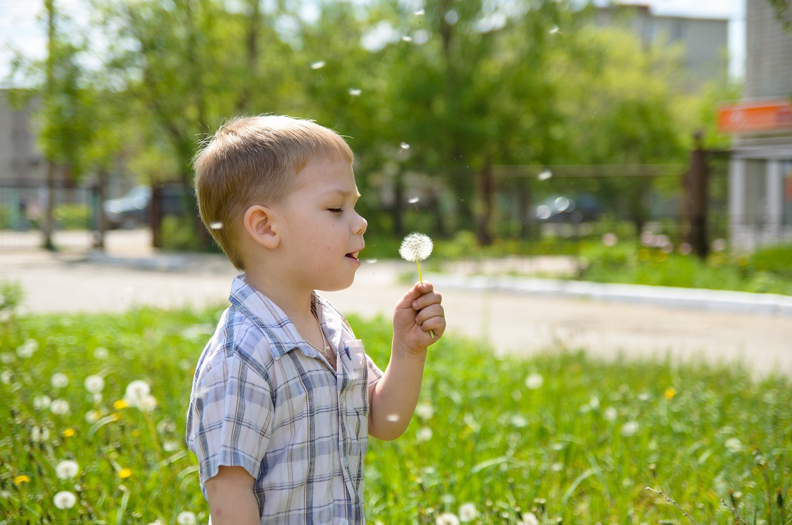 Фото профиля