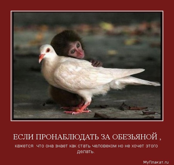 №52, Александр Огнев, 44 года, Ухта №52, Александр Огнев, 44 года, Ухта