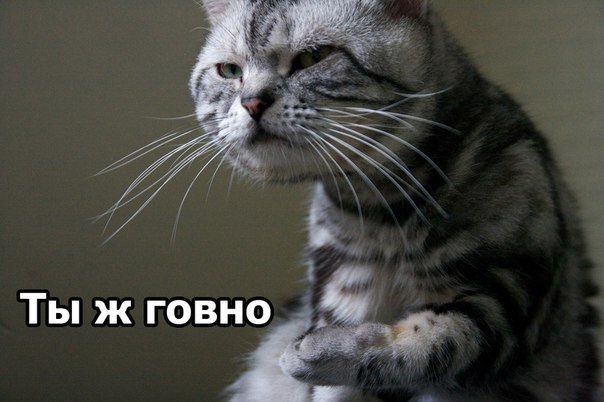 Сергей Васильев | Москва