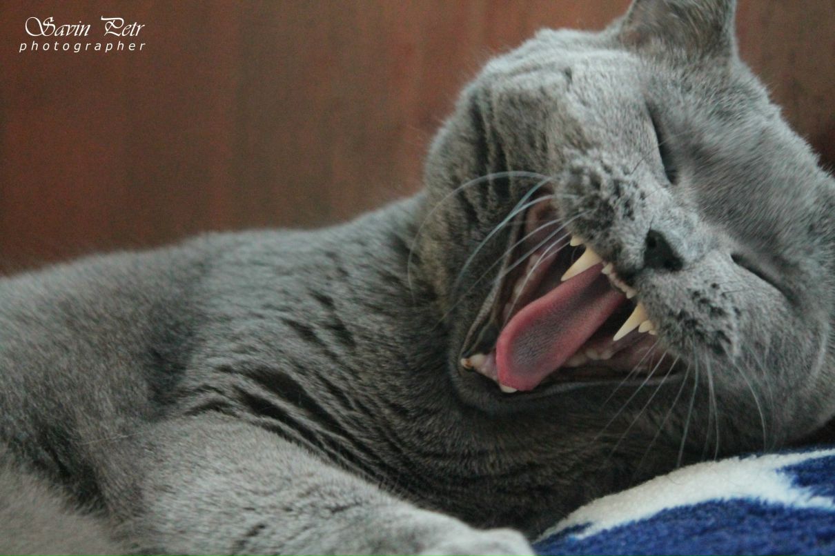 Петр Савин ♔ KG ♔ | Актау