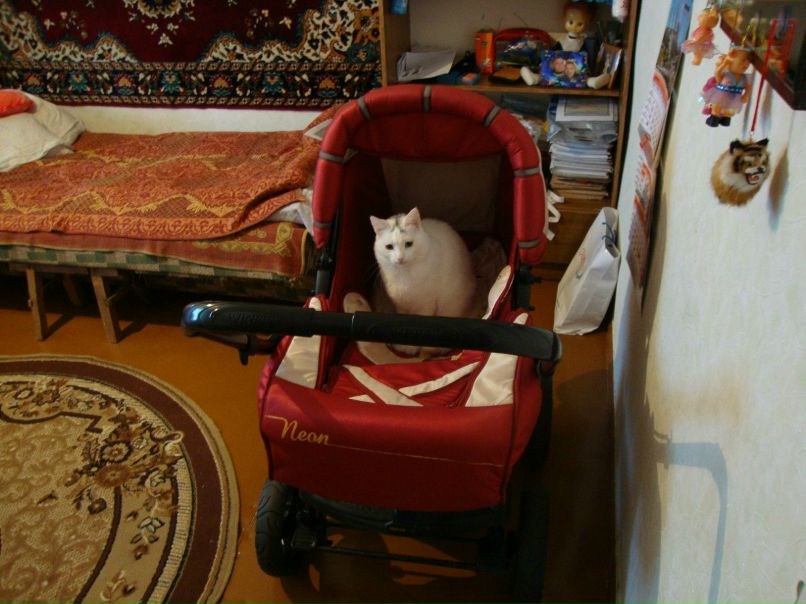 Наталья Окатова | 